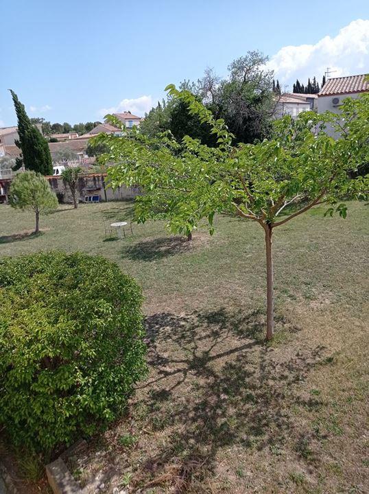 Maison - 121 m² - 4 pièces