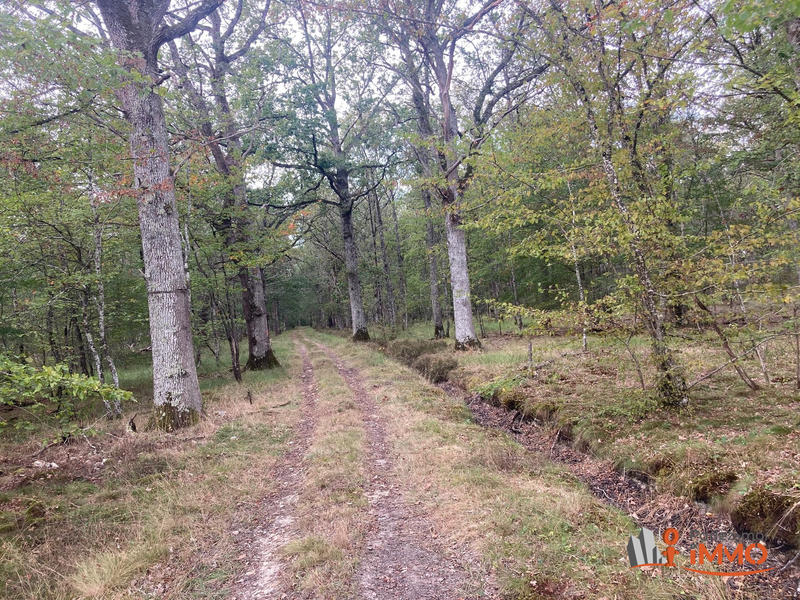 Maison - 335 m² - 12 pièces