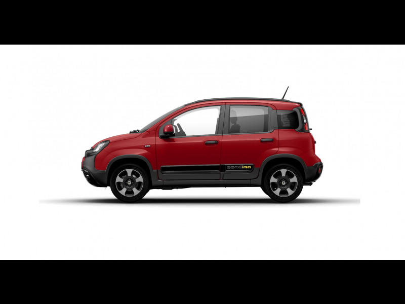 Fiat Panda 1.0 70 ch Hybrid Bsg s/S Pandina