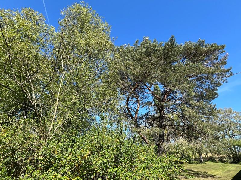 Ferme - 157 m² - 8 pièces