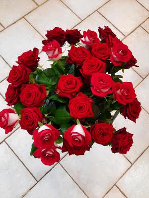 Le Petit Mont Fleuri