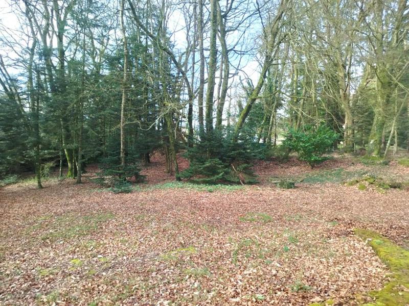 Maison - 184 m² - 6 pièces