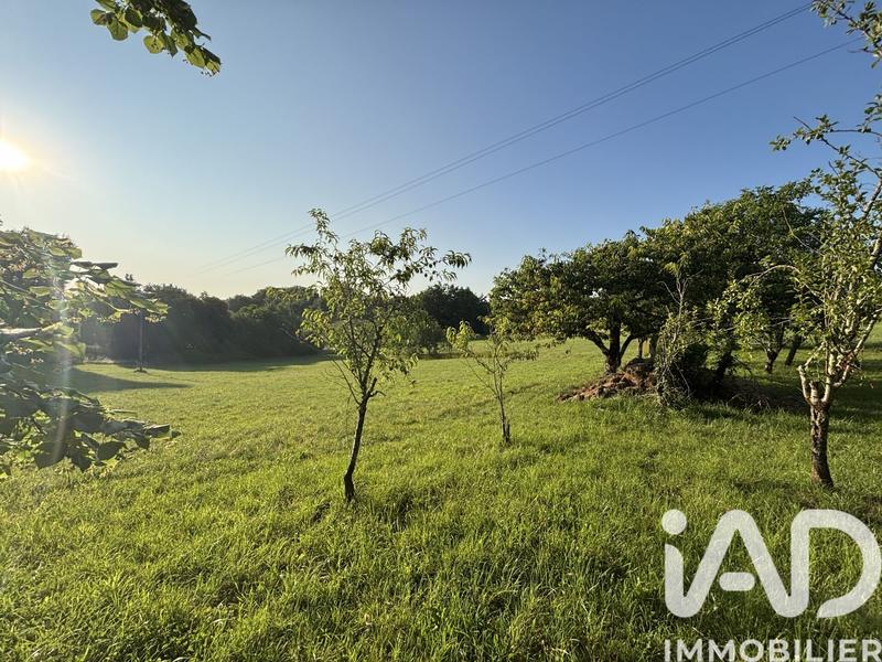 Maison de campagne - 80 m² - 3 pièces