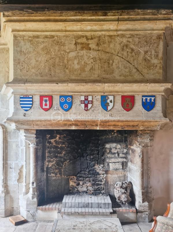 Château - 500 m² - 10 pièces