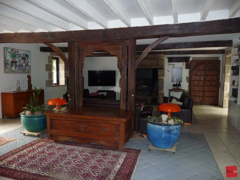 Maison ancienne - 476 m² - 13 pièces