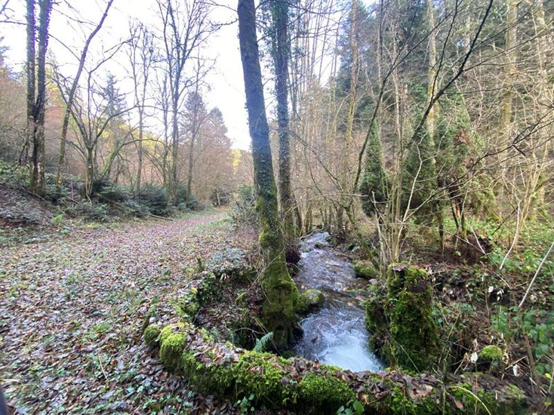 Terrain constructible - 3 197 m²