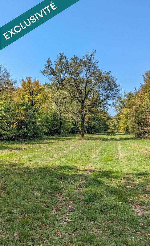 Terrain - 697 767 m²