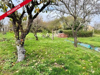 Grange - 58 m² - 3 pièces