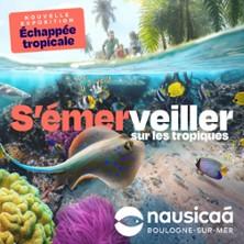 Nausicaá - Centre National de la Mer - Saison 2026 - Cse