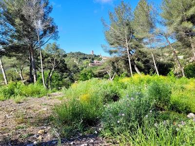 Terrain constructible - 1 500 m²