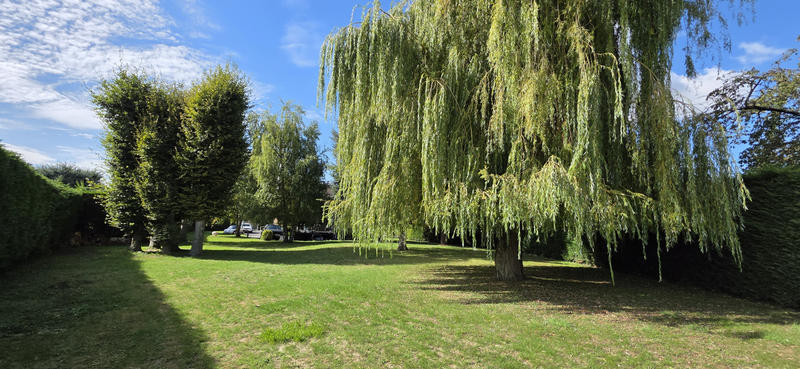 Maison - 216 m² - 8 pièces