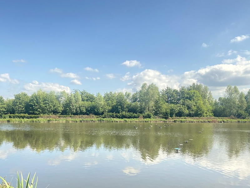 Propriété - 15 000 m² - 2 pièces