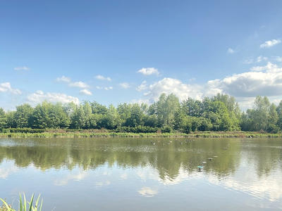 Propriété - 15 000 m² - 2 pièces