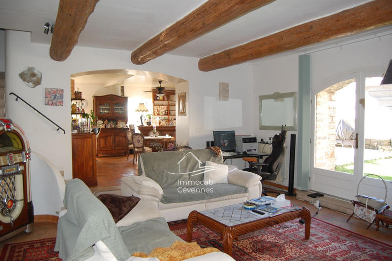 Mas - 740 m² - 10 pièces