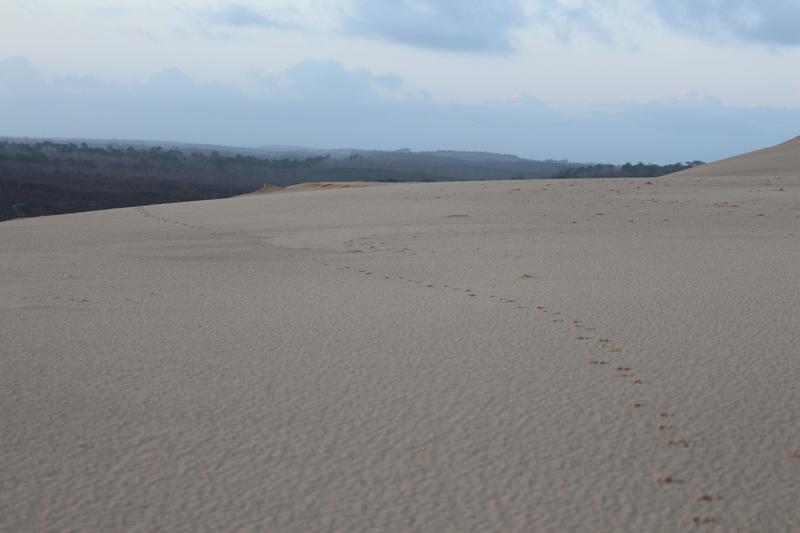 Randonnée sur la Dune du Pilat au lever du soleil