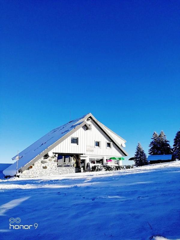 Châlet - 440 m² - 16 pièces