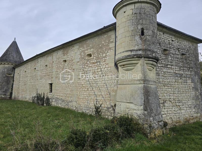 Château - 300 m² - 8 pièces