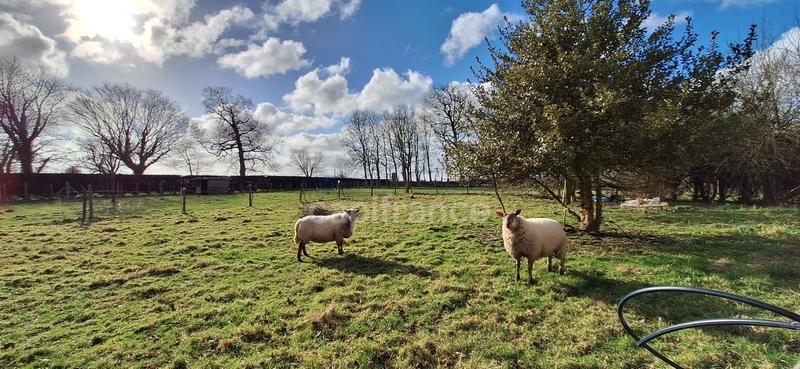 Maison - 96 m² - 5 pièces