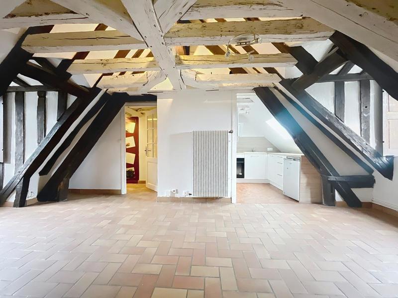 Appartement ancien - 51 m² - 2 pièces