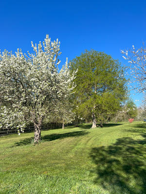 Maison - 240 m² - 8 pièces