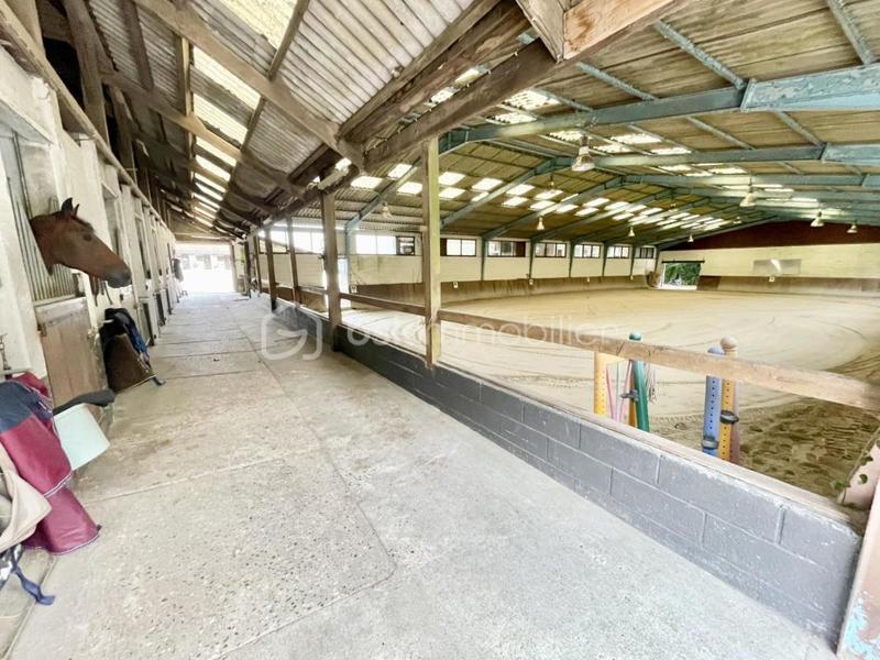 Maison de domaine équestre - 236 m² - 9 pièces