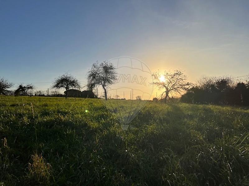 Cave / Box - 230 m²