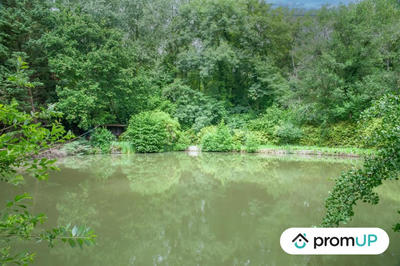 Terrain de loisirs - 6 460 m²