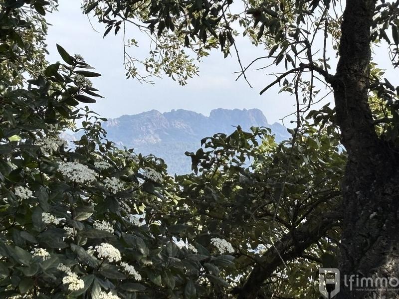 Maison - 44 m² - 4 pièces