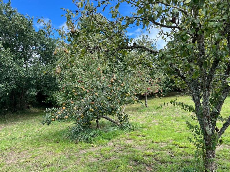 Maison - 83 m² - 4 pièces