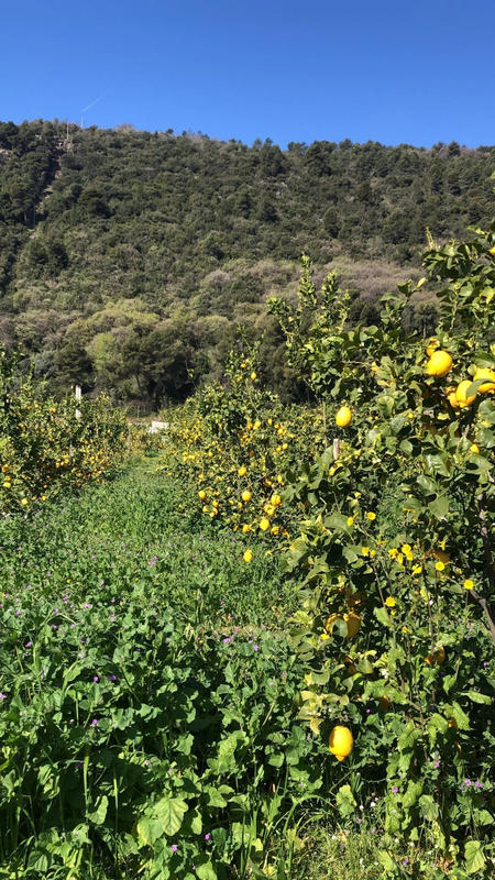 Fonds de commerce - Local commercial - 10 000 m²