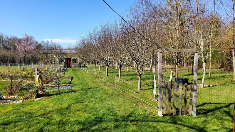 Maison - 119 m² - 4 pièces