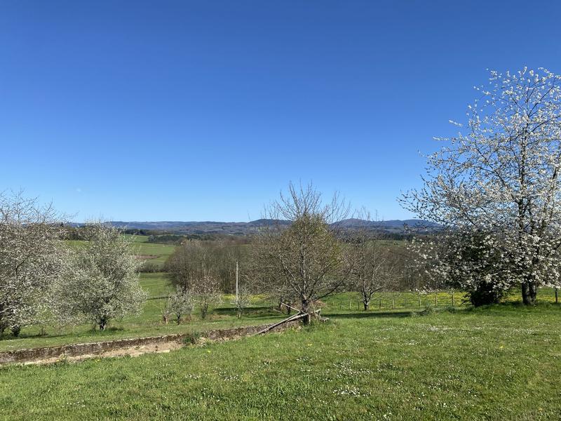 Maison ancienne - 205 m² - 8 pièces