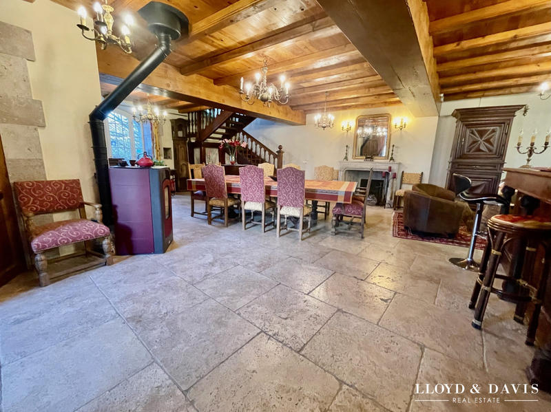 Château - 1 560 m² - 20 pièces