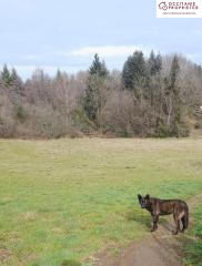 Maison chambre d'hôtes - 100 m² - 7 pièces