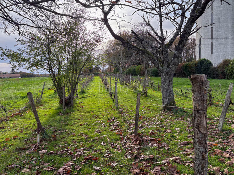 Maison en pierre - 190 m² - 6 pièces