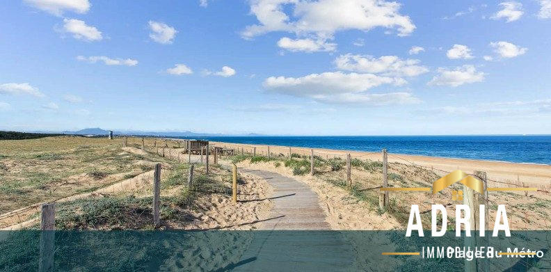 Appartement - 81 m² - 4 pièces