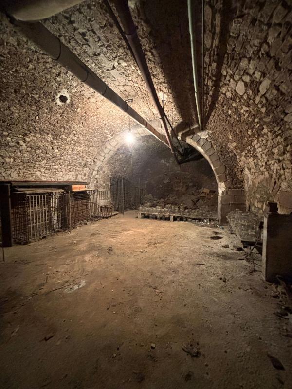 Hôtel particulier - 488 m² - 8 pièces