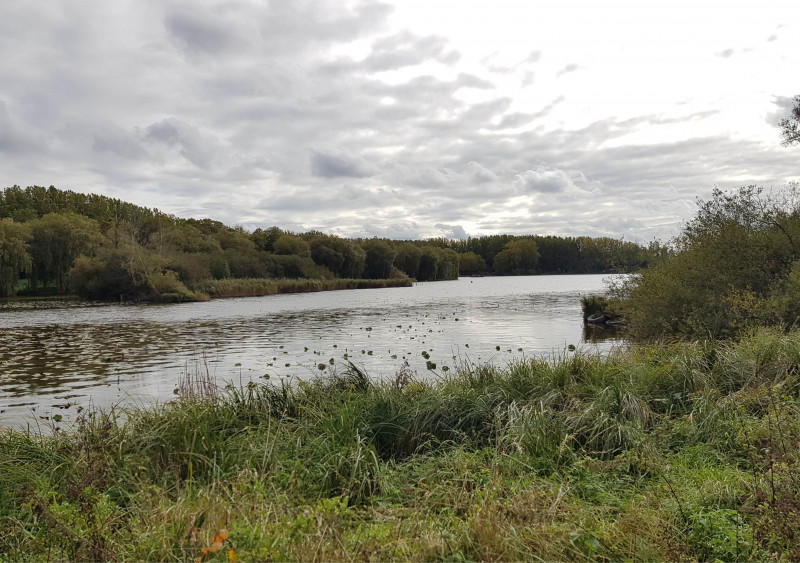 Événement Nature &amp; Vous - Voyageurs ailés : les secrets de la migration