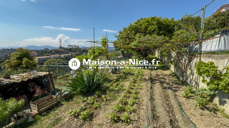 Viager - Maison - 174 m² - 6 pièces