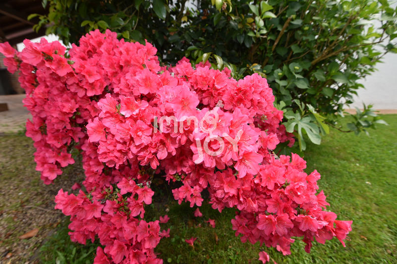 Maison - 168 m² - 5 pièces