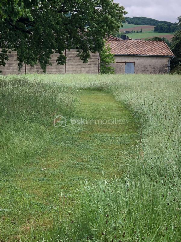 Maison en pierre - 250 m² - 8 pièces