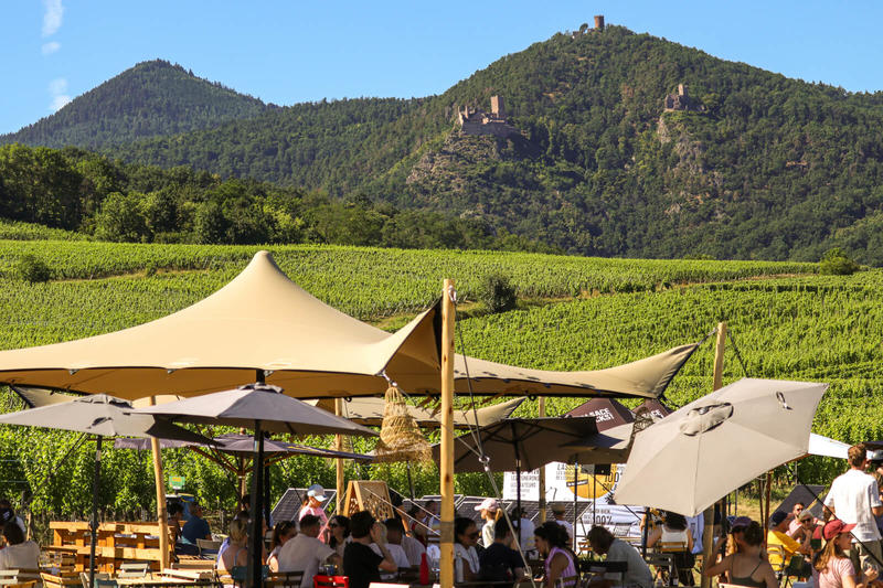 Alsace Rocks ! La Tournée des Terroirs - Etape #5