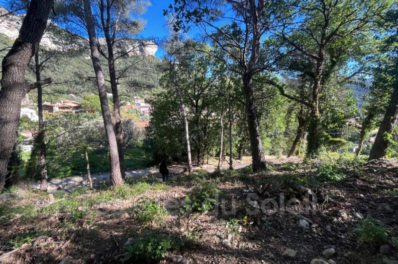 Terrain - 21 500 m²