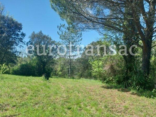 Terrain agricole - 11 480 m²