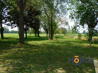 Viager - Maison ancienne - 367 m² - 14 pièces