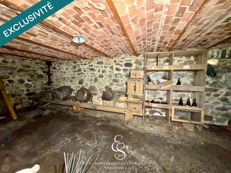 Maison de maîtres - 380 m² - 12 pièces