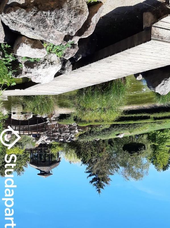 Chambre - 38 m² - 1 pièce