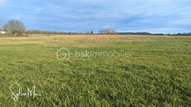 Terrain - 1 038 m²