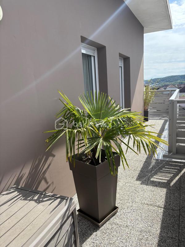 Appartement - 87 m² - 5 pièces