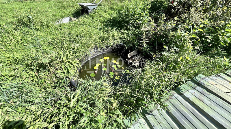 Terrain de loisirs - 2 000 m²